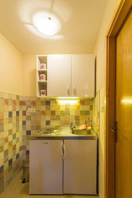 Fresh & Spacious Studio دوبروفينك المظهر الخارجي الصورة